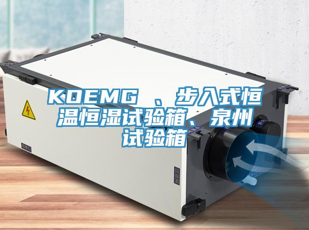 KOEMG 、步入式恒溫恒濕試驗箱、泉州試驗箱