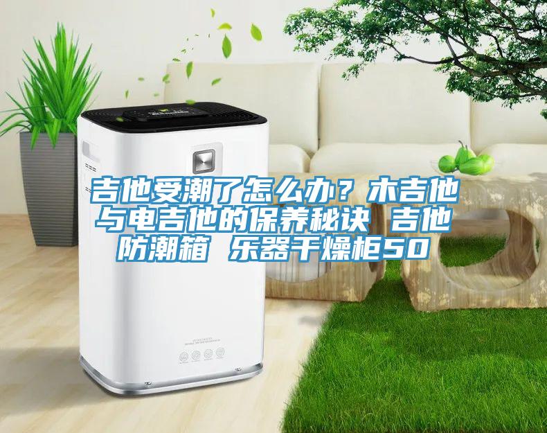 吉他受潮了怎么辦？木吉他與電吉他的保養(yǎng)秘訣 吉他防潮箱 樂器干燥柜50