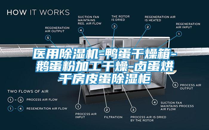 醫(yī)用除濕機-鴨蛋干燥箱-鵝蛋粉加工干燥-鹵蛋烘干房皮蛋除濕柜