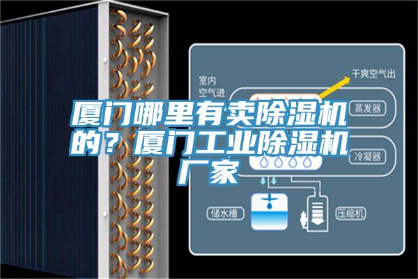 廈門哪里有賣除濕機的？廈門工業(yè)除濕機廠家