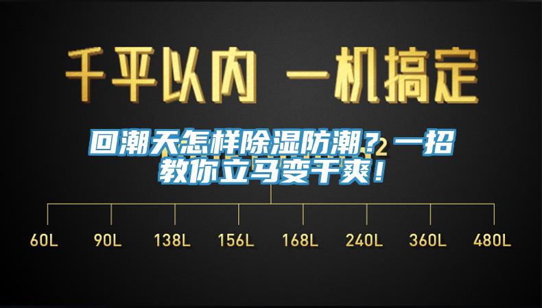 回潮天怎樣除濕防潮？一招教你立馬變干爽！