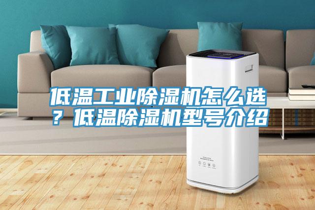 低溫工業(yè)除濕機怎么選？低溫除濕機型號介紹