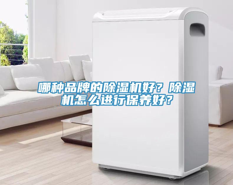 哪種品牌的除濕機好？除濕機怎么進(jìn)行保養(yǎng)好？