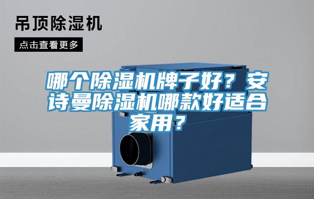 哪個除濕機牌子好？安詩曼除濕機哪款好適合家用？