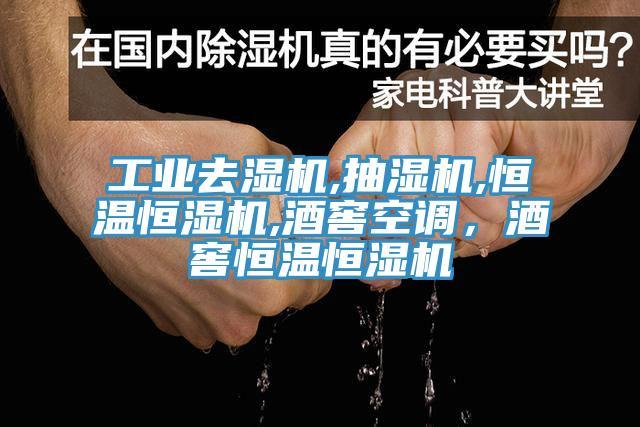 工業(yè)去濕機,抽濕機,恒溫恒濕機,酒窖空調，酒窖恒溫恒濕機