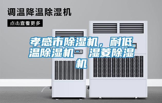 孝感市除濕機，耐低溫除濕機  濕菱除濕機