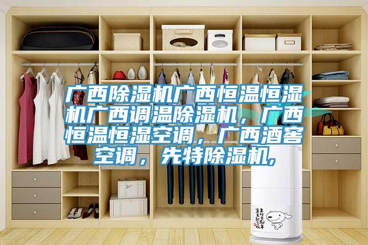 廣西除濕機廣西恒溫恒濕機廣西調(diào)溫除濕機，廣西恒溫恒濕空調(diào)，廣西酒窖空調(diào)，先特除濕機,