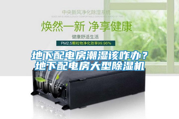 地下配電房潮濕該咋辦？地下配電房大型除濕機(jī)