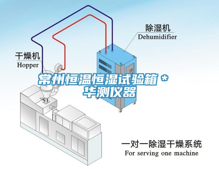 常州恒溫恒濕試驗(yàn)箱＊ 華測儀器