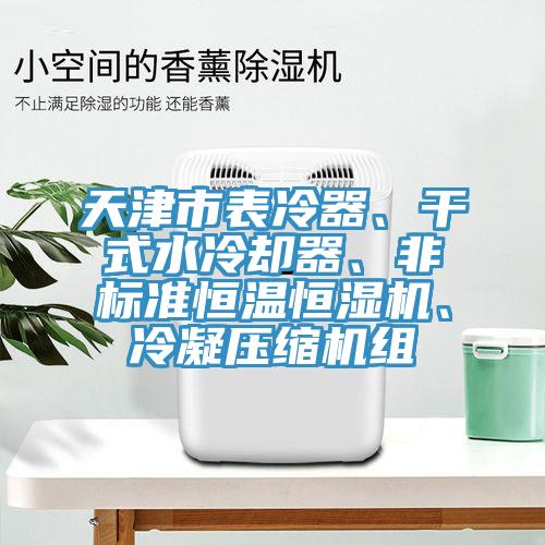 天津市表冷器、干式水冷卻器、非標(biāo)準(zhǔn)恒溫恒濕機、冷凝壓縮機組