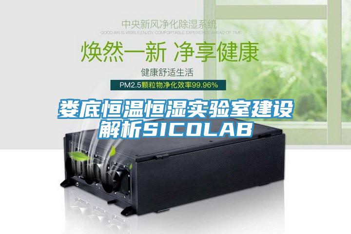 婁底恒溫恒濕實驗室建設(shè)解析SICOLAB