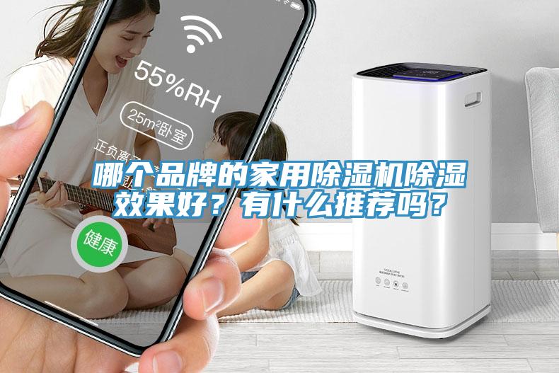 哪個品牌的家用除濕機除濕效果好？有什么推薦嗎？