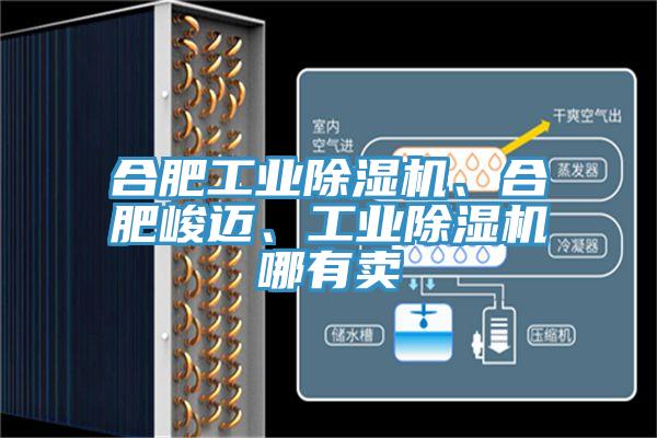 合肥工業(yè)除濕機、合肥峻邁、工業(yè)除濕機哪有賣