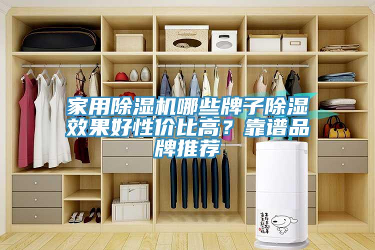 家用除濕機哪些牌子除濕效果好性價比高？靠譜品牌推薦