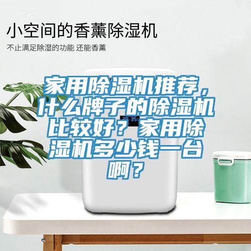 家用除濕機推薦，什么牌子的除濕機比較好？家用除濕機多少錢一臺??？