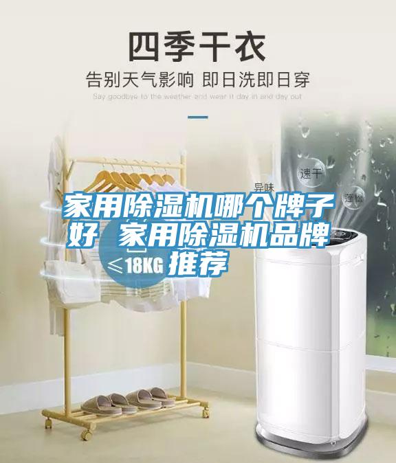 家用除濕機(jī)哪個(gè)牌子好 家用除濕機(jī)品牌推薦