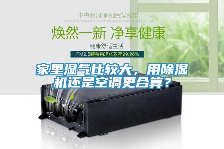 家里濕氣比較大，用除濕機還是空調更合算？