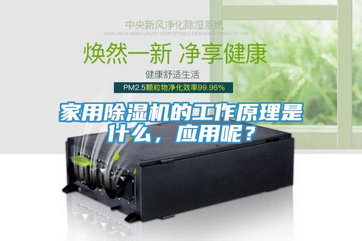 家用除濕機(jī)的工作原理是什么，應(yīng)用呢？