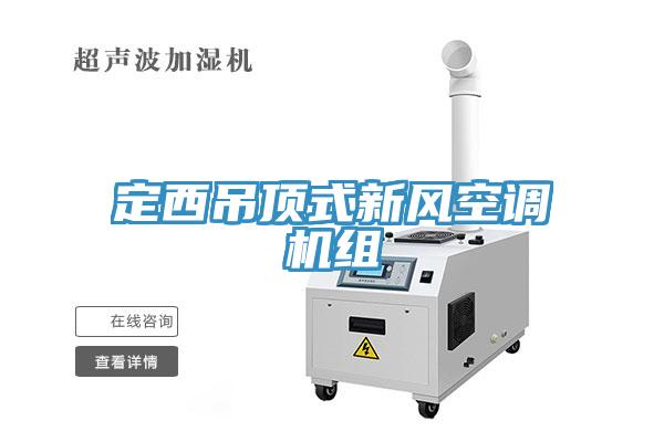 定西吊頂式新風空調機組