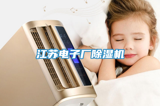 江蘇電子廠除濕機