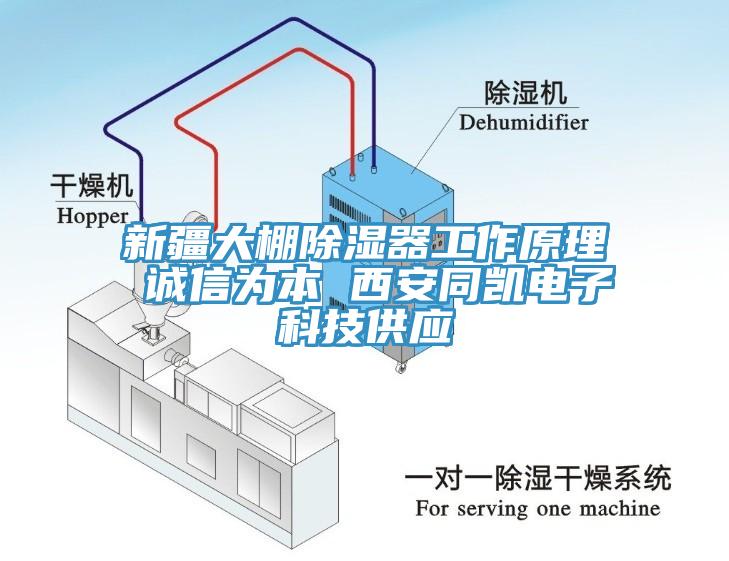 新疆大棚除濕器工作原理 誠(chéng)信為本 西安同凱電子科技供應(yīng)