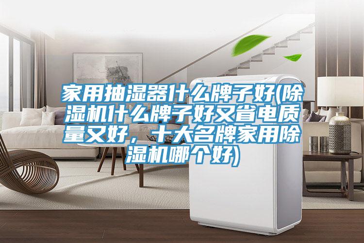 家用抽濕器什么牌子好(除濕機什么牌子好又省電質(zhì)量又好，十大名牌家用除濕機哪個好)