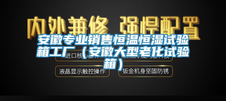 安徽專業(yè)銷售恒溫恒濕試驗(yàn)箱工廠（安徽大型老化試驗(yàn)箱）