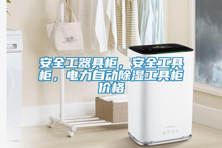 安全工器具柜，安全工具柜，電力自動(dòng)除濕工具柜價(jià)格