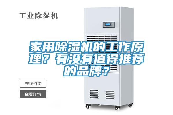 家用除濕機的工作原理？有沒有值得推薦的品牌？