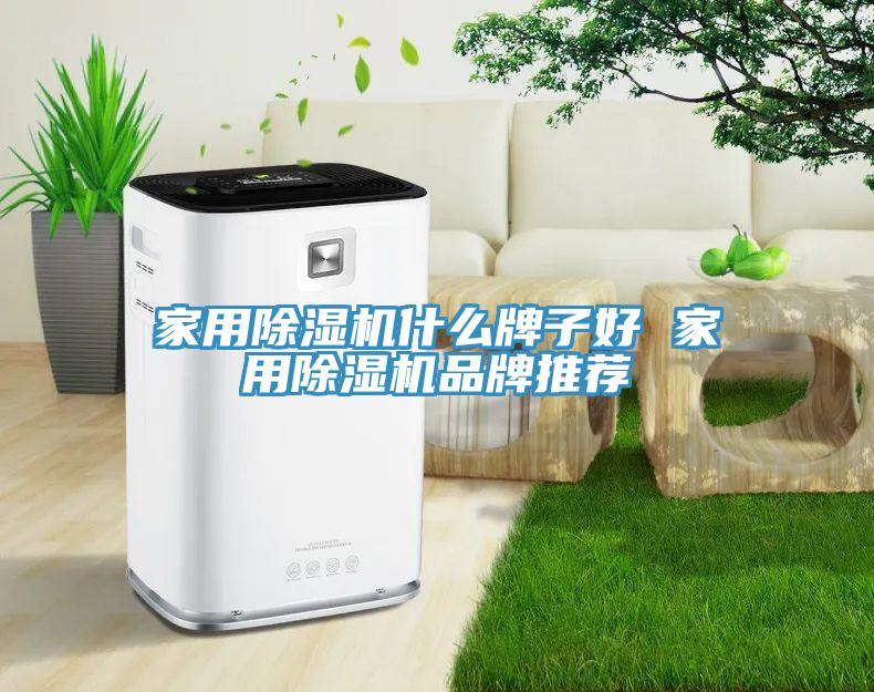 家用除濕機(jī)什么牌子好 家用除濕機(jī)品牌推薦