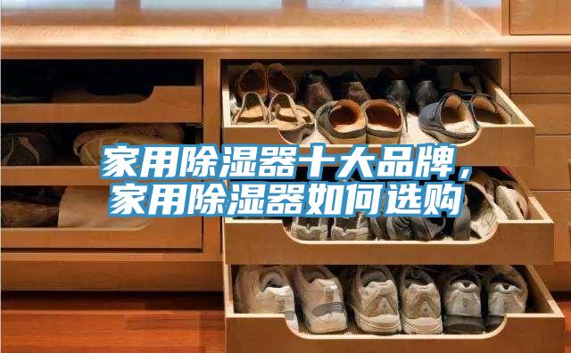 家用除濕器十大品牌，家用除濕器如何選購