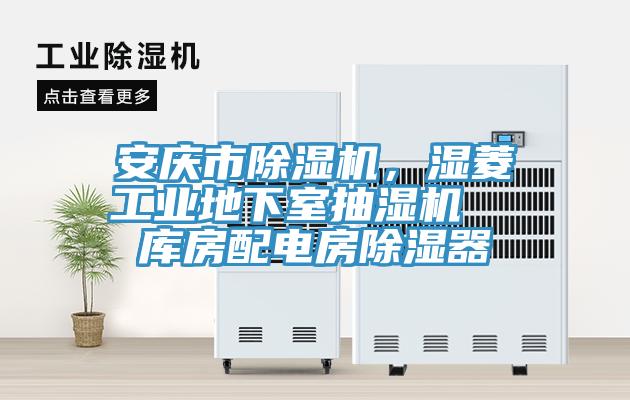 安慶市除濕機，濕菱工業(yè)地下室抽濕機  庫房配電房除濕器