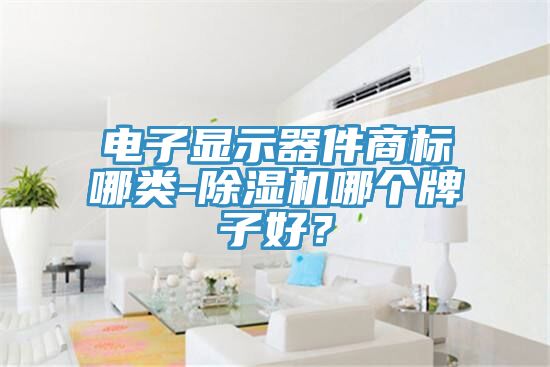 電子顯示器件商標哪類-除濕機哪個牌子好？