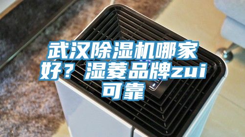 武漢除濕機(jī)哪家好？濕菱品牌zui可靠