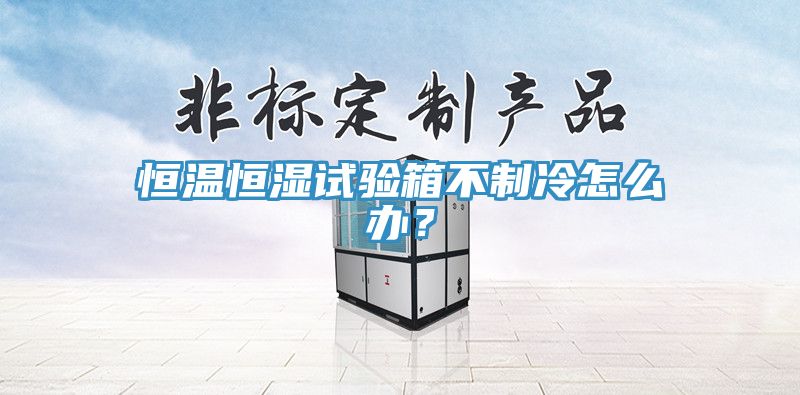 恒溫恒濕試驗(yàn)箱不制冷怎么辦？