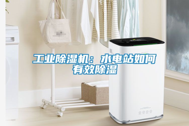 工業(yè)除濕機：水電站如何有效除濕