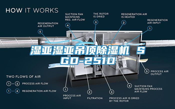 濕亞濕亞吊頂除濕機 SGD-251D