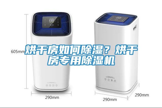 烘干房如何除濕？烘干房專用除濕機(jī)