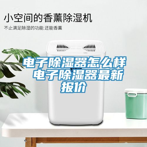 電子除濕器怎么樣 電子除濕器最新報(bào)價(jià)