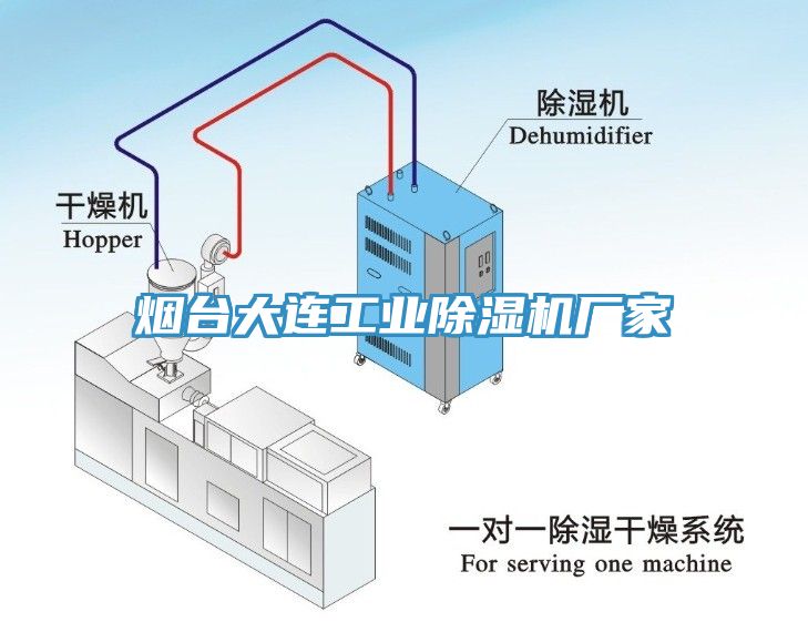 煙臺(tái)大連工業(yè)除濕機(jī)廠家