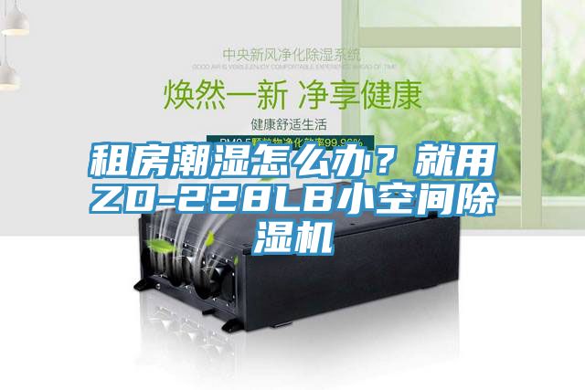 租房潮濕怎么辦？就用ZD-228LB小空間除濕機(jī)