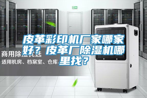 皮革彩印機廠家哪家好？皮革廠除濕機哪里找？