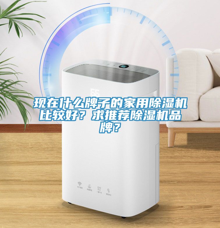 現(xiàn)在什么牌子的家用除濕機(jī)比較好？求推薦除濕機(jī)品牌？