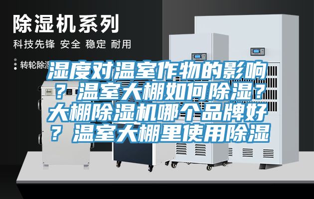 濕度對溫室作物的影響？溫室大棚如何除濕？大棚除濕機哪個品牌好？溫室大棚里使用除濕