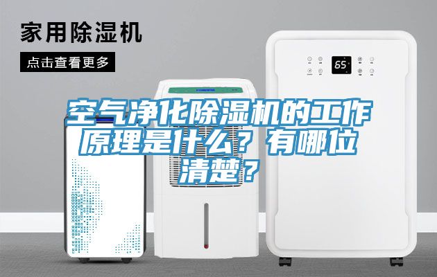 空氣凈化除濕機的工作原理是什么？有哪位清楚？