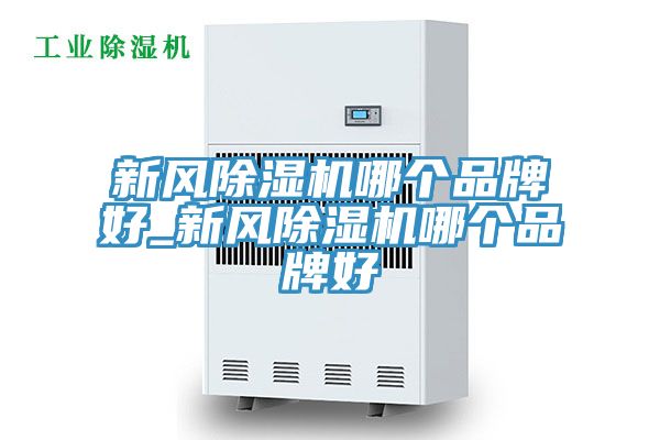 新風(fēng)除濕機哪個品牌好_新風(fēng)除濕機哪個品牌好