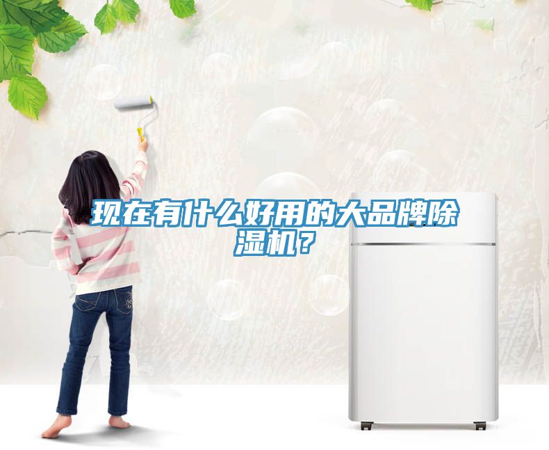 現(xiàn)在有什么好用的大品牌除濕機(jī)？