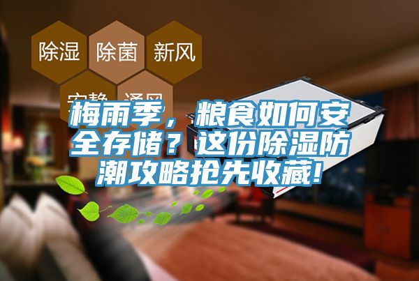 梅雨季，糧食如何安全存儲？這份除濕防潮攻略搶先收藏!