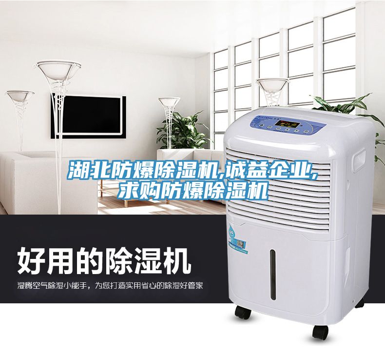 湖北防爆除濕機,誠益企業(yè),求購防爆除濕機