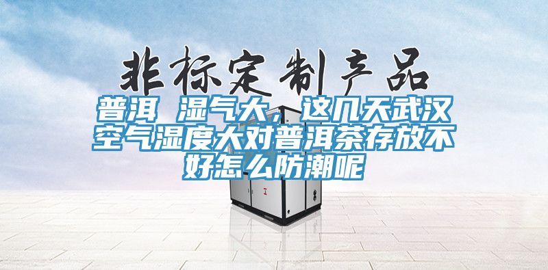 普洱 濕氣大，這幾天武漢空氣濕度大對普洱茶存放不好怎么防潮呢